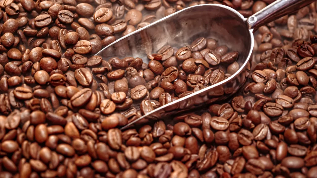Frisch geröstete Kaffeebohnen mit Metallschaufel